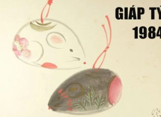 What is the Zodiac Sign for People Born in 1984? Who and What Colours are Compatible?