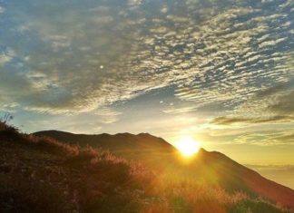 What is the Zodiac Sign for those Born in 1994? Zodiac Compatibility for this Sign.