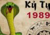 What is the Luck of People Born in the Year of the Snake, 1989? Who Are They Compatible With?