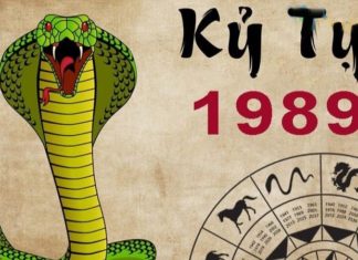 What is the Luck of People Born in the Year of the Snake, 1989? Who Are They Compatible With?