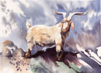 The Power of Three: Unlocking Wishes, Wealth and Prosperity