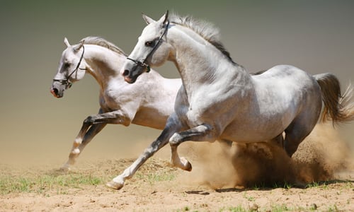 The Golden Touch: Unlocking Prosperity at Age 3