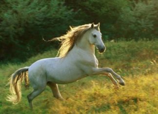 The 3 Luckiest Zodiac Signs in July: Uncovering the Secrets to Their Success and Prosperity