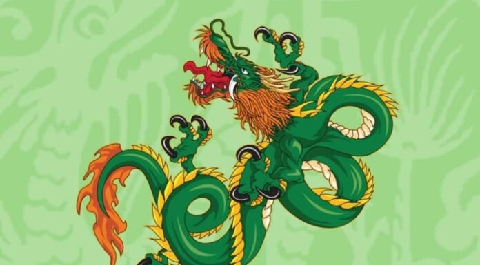 The 4 Chinese Zodiac Signs of Women Who Age Like Fine Wine: Especially the Second Sign, Whose Fortune and Love Life Bloom