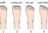 The Secrets to Success: Unveiling the Mystery of Toe Length and Future Fortunes