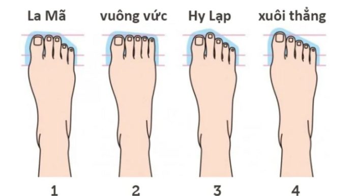 The Secrets to Success: Unveiling the Mystery of Toe Length and Future Fortunes