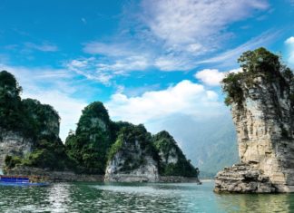 Tasty Delights of Tuyen Quang: 15 Must-Try Local Specialties and Perfect Gifts