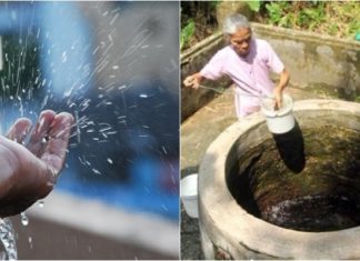 The Art of Brewing the Perfect Cup of Tea