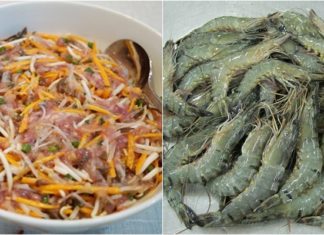 The Ultimate Guide to Creating Crispy and Delicious Spring Rolls