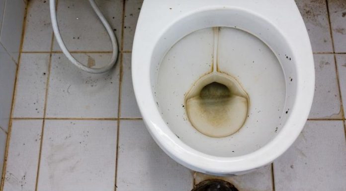 8 Powerful Ways to Remove Stubborn Yellow Stains and Make Your Toilet Bowl Shine