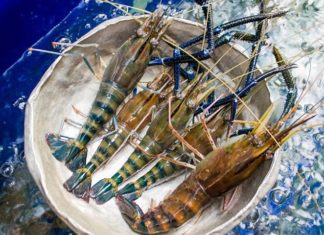 The Ultimate Guide to Grilled Shrimp: A Spicy, Salty Delight