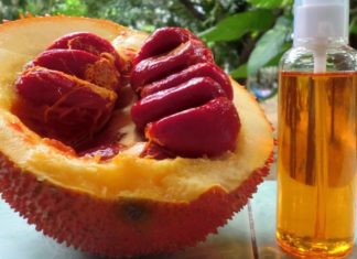 “The Ultimate Guide to Taking Gac Oil: Who Should and Shouldn’t Consume It?”