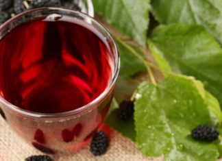 What Are the Benefits of Drinking Mulberry Leaf Tea?