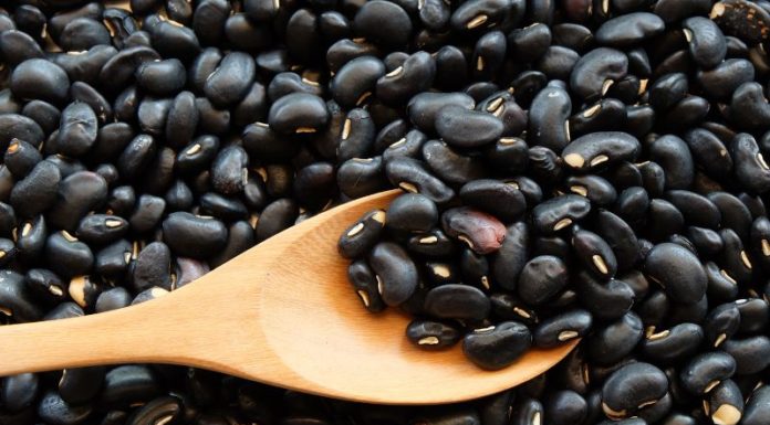 What Are the Benefits of Drinking Roasted Black Bean Water?