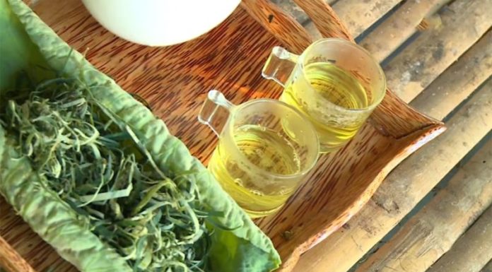 Does Lotus Leaf Tea Help With Weight Loss? Who Should Avoid Using Lotus Leaf Tea for Weight Management?