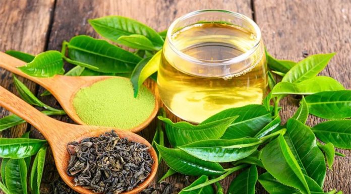 Is Green Tea Effective for Weight Loss?