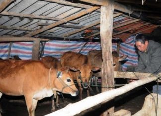 The Ultimate Guide to Building a Sacred Enclosure: Invoking the Blessings of the Divine Caretakers