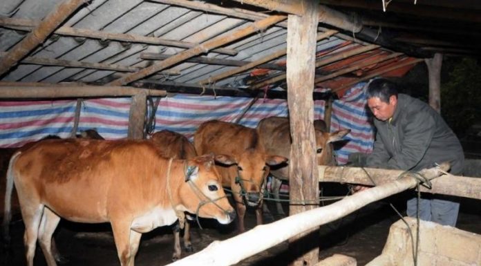 The Ultimate Guide to Building a Sacred Enclosure: Invoking the Blessings of the Divine Caretakers