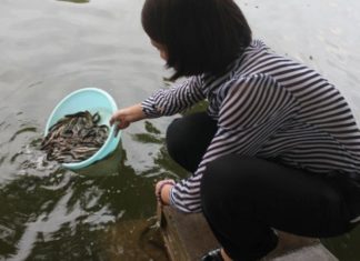 The Great Release: A Comprehensive Guide to Rituals and Offerings