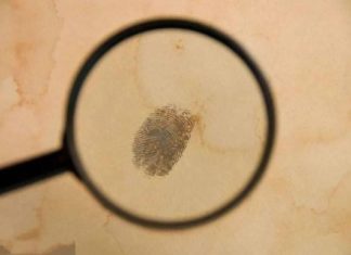 Why Are Fingerprints Unique?