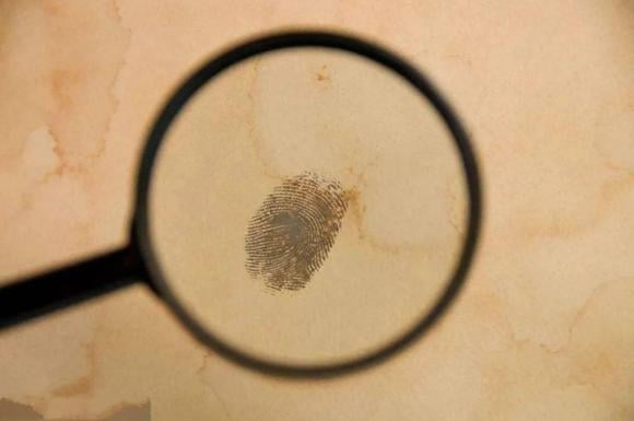 Why Are Fingerprints Unique?