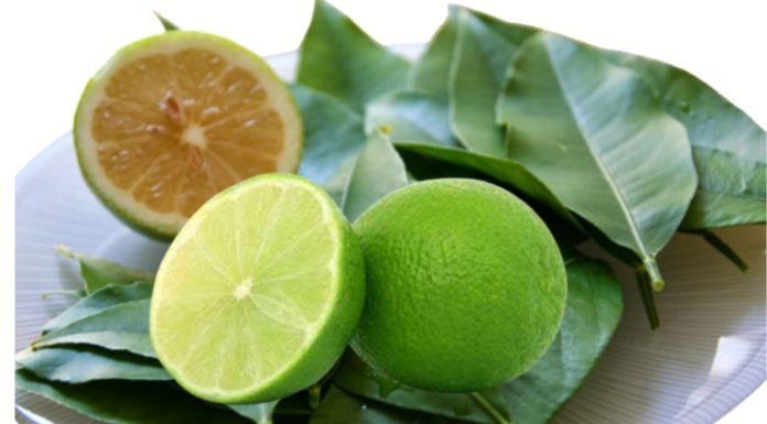 The Magic of a Squeeze: How a Splash of Lemon Can Transform Your Pho and Health