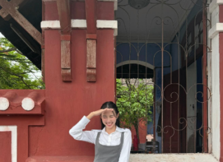 The Ultimate Style Guide: 4 Vietnamese Beauties and Their Fashionable Transformations with Versatile Dresses