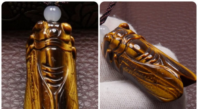 The Mystical Art of Feng Shui: Unveiling the Secrets of the Cicada