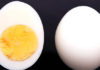 Why Eating Only the Egg Yolk is Not a Good Idea