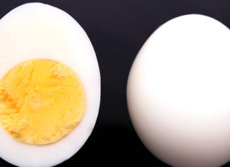 Why Eating Only the Egg Yolk is Not a Good Idea