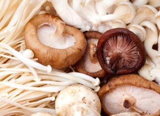 Why Soaking Mushrooms for Too Long Is a Bad Idea