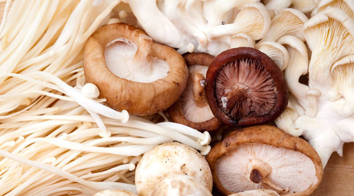 Why Soaking Mushrooms for Too Long Is a Bad Idea