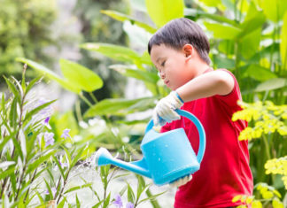 The Benefits of Being Messy: Debunking the “Cleanliness is Next to Godliness” Myth