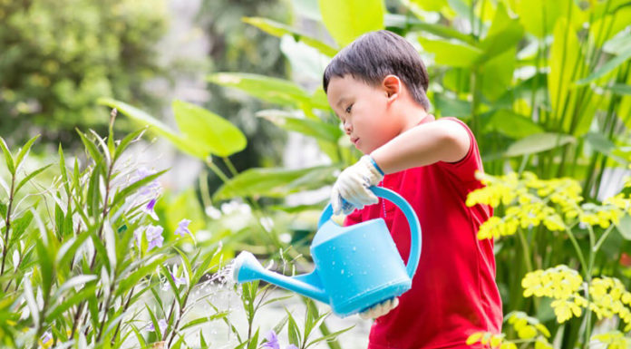 The Benefits of Being Messy: Debunking the “Cleanliness is Next to Godliness” Myth