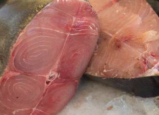 Why Isn’t Seafood Salty?