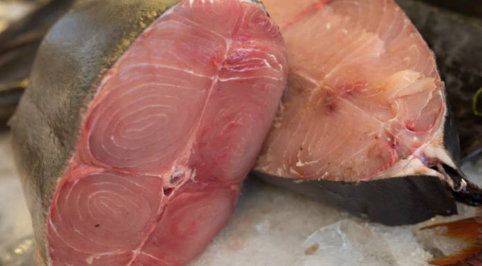 Why Isn’t Seafood Salty?