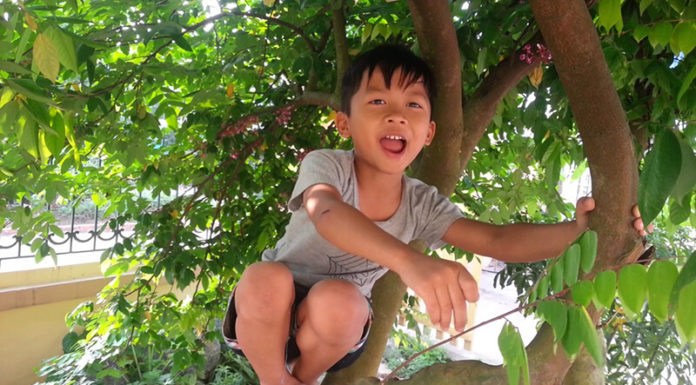 Why Does the Tradition of Beating Trees on the Holiday of Tết Đoan Ngọ Yield an Abundance of Fruits in the Following Season?