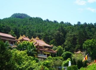 What Are the Specialties of Vinh Phuc? 15 Delicacies of Vinh Phuc to Try and Buy as Gifts