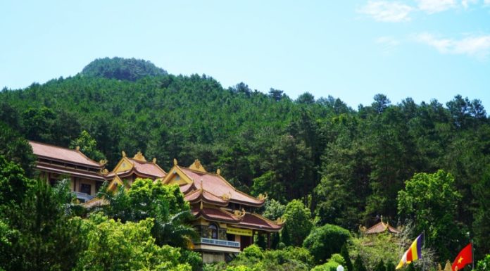 What Are the Specialties of Vinh Phuc? 15 Delicacies of Vinh Phuc to Try and Buy as Gifts