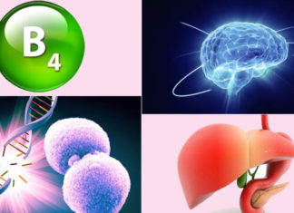 “The Secrets of Vitamin B4: Unlocking the Unknown”