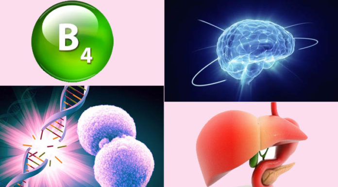 “The Secrets of Vitamin B4: Unlocking the Unknown”