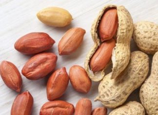 The Power of Peanut Shells: Unveiling Surprising Uses