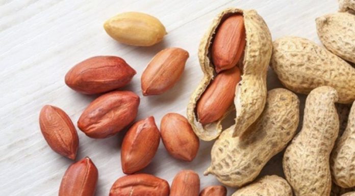 The Power of Peanut Shells: Unveiling Surprising Uses