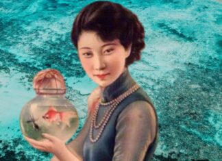 The Art of a Peaceful Home: Unraveling the Ancient Wisdom of “Wife, Harmony, South-facing Home”