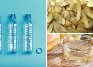 “Don’t Toss Those Potato Peels: How They Can Benefit Your Garden and Home”