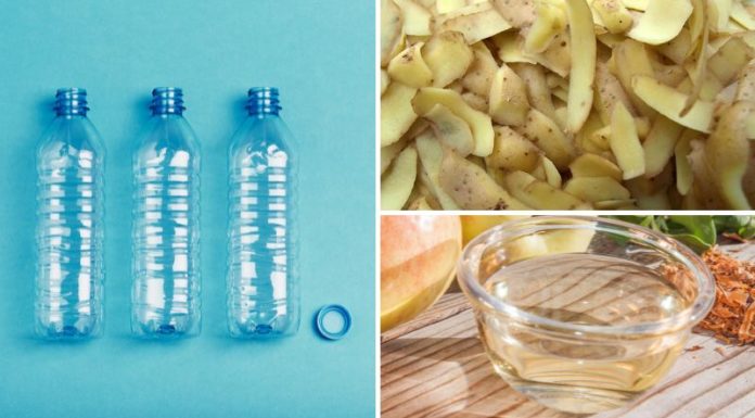 “Don’t Toss Those Potato Peels: How They Can Benefit Your Garden and Home”