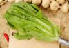 What is Romaine Lettuce? The Amazing Benefits of Romaine Lettuce.