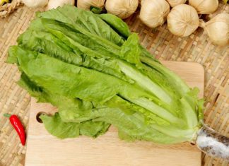 What is Romaine Lettuce? The Amazing Benefits of Romaine Lettuce.