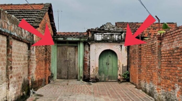 “A House Divided Against Itself Cannot Stand: The Wisdom of Ancestral Advice”