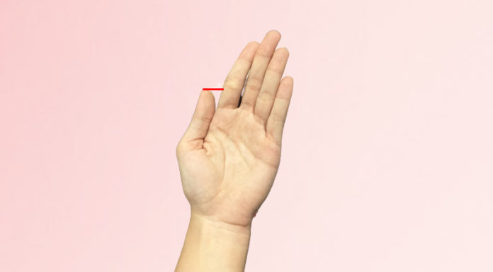 The Lines on Your Thumb Reveal Your Future: A Palmistry Guide